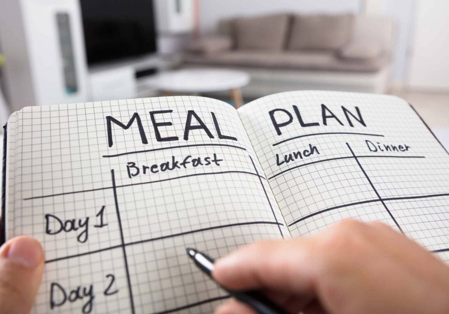 Meal planning journal with handwritten notes.
